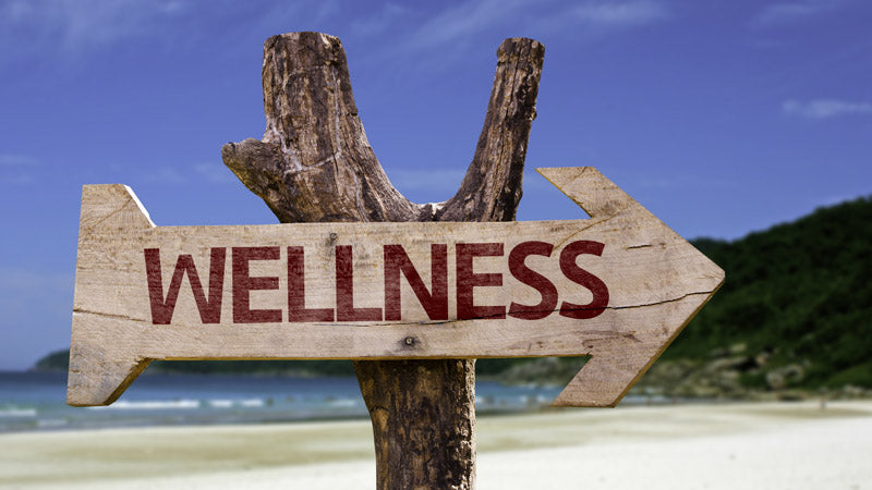 Top Wellness Tips