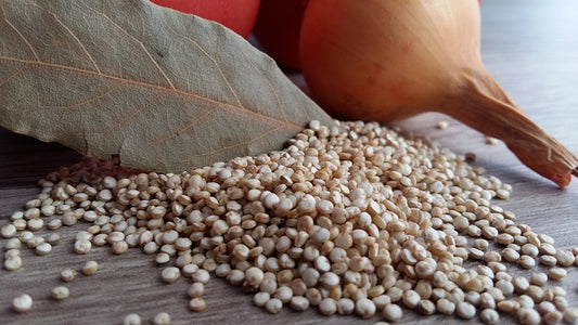 The Hidden Power of Quinoa